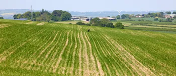 Crow may fields.jpg